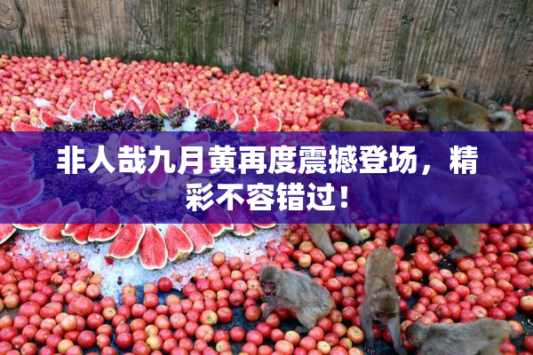 非人哉九月黄再度震撼登场，精彩不容错过！