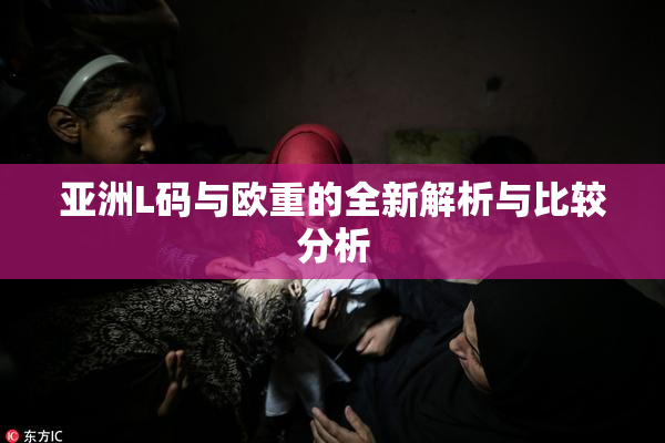 亚洲L码与欧重的全新解析与比较分析