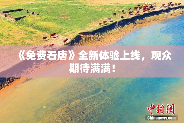 《免费看唐》全新体验上线，观众期待满满！