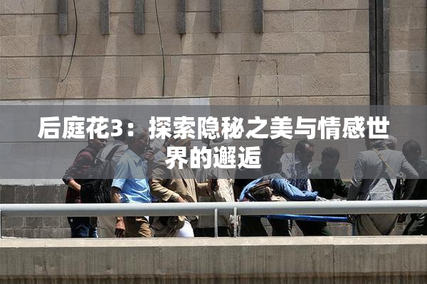 后庭花3：探索隐秘之美与情感世界的邂逅