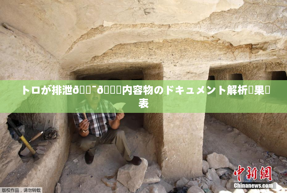 トロが排泄🔯👅内容物のドキュメント解析結果発表