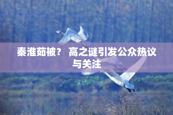 秦淮茹被？ 高之谜引发公众热议与关注
