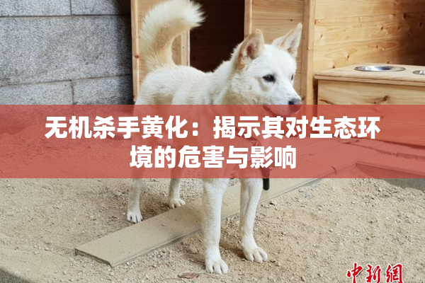 无机杀手黄化：揭示其对生态环境的危害与影响