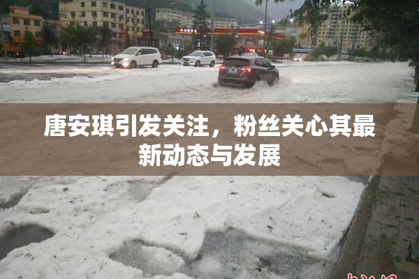 唐安琪引发关注，粉丝关心其最新动态与发展