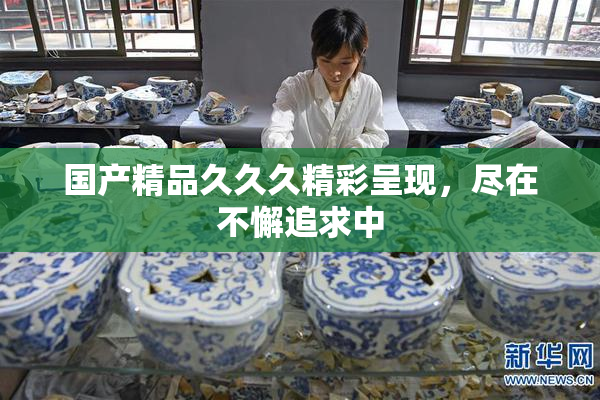 国产精品久久久精彩呈现，尽在不懈追求中