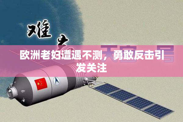 欧洲老妇遭遇不测，勇敢反击引发关注