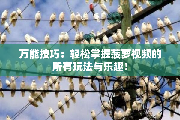 万能技巧：轻松掌握菠萝视频的所有玩法与乐趣！