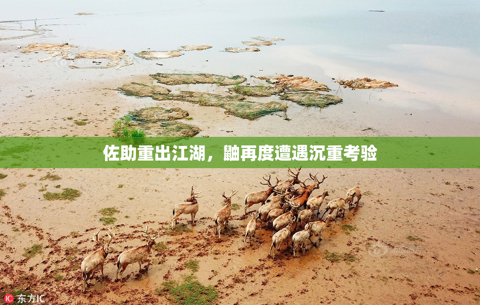 佐助重出江湖，鼬再度遭遇沉重考验