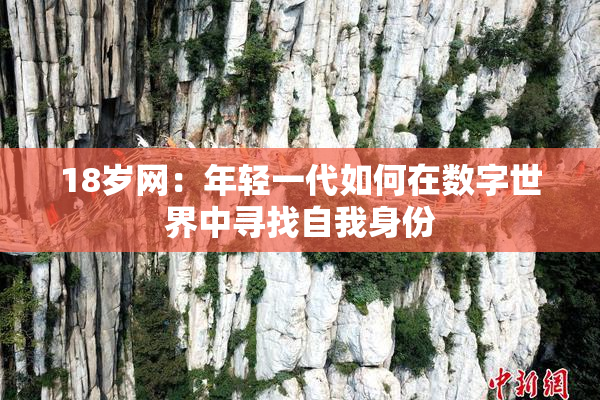 18岁网：年轻一代如何在数字世界中寻找自我身份