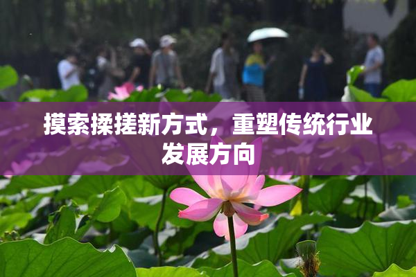 摸索揉搓新方式，重塑传统行业发展方向