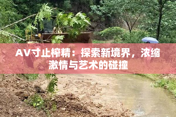 AV寸止榨精：探索新境界，浓缩激情与艺术的碰撞