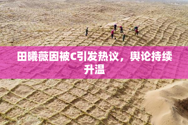 田曦薇因被C引发热议，舆论持续升温