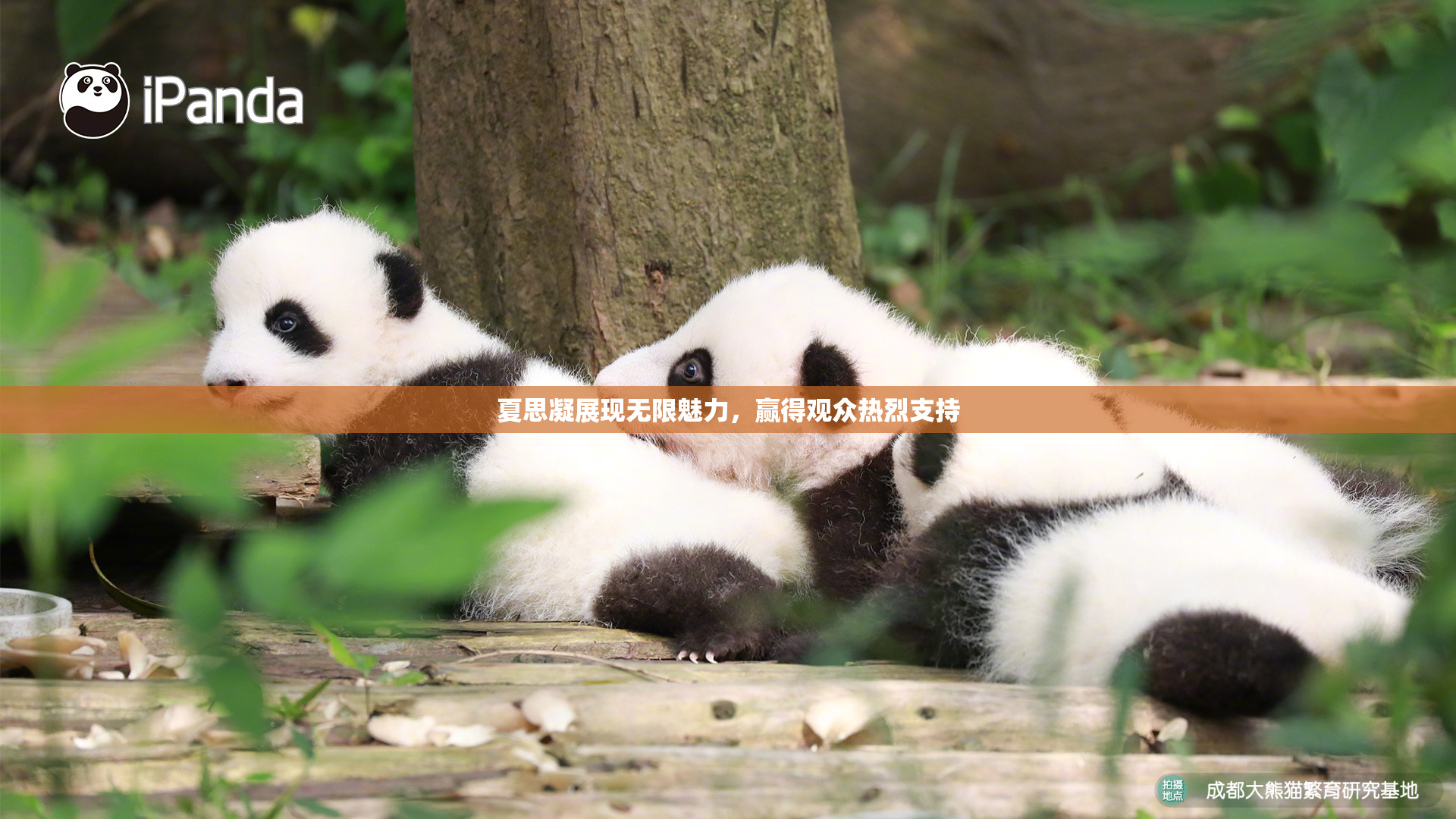 夏思凝展现无限魅力，赢得观众热烈支持