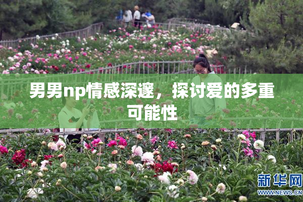 男男np情感深邃，探讨爱的多重可能性