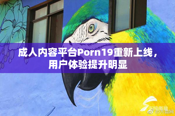 成人内容平台Porn19重新上线，用户体验提升明显