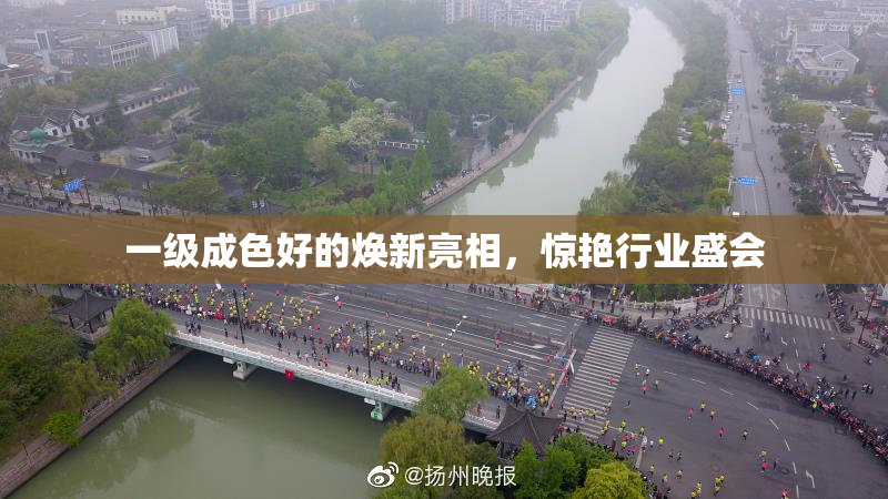 一级成色好的焕新亮相，惊艳行业盛会