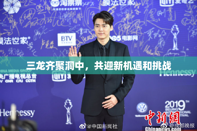 三龙齐聚洞中，共迎新机遇和挑战