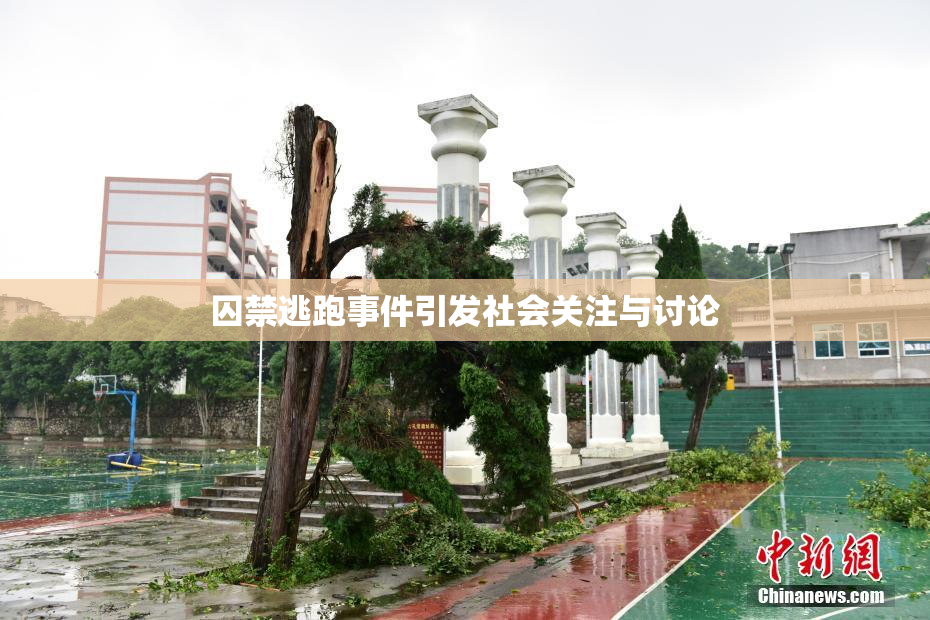 囚禁逃跑事件引发社会关注与讨论