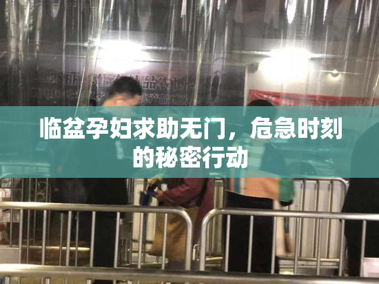 临盆孕妇求助无门，危急时刻的秘密行动