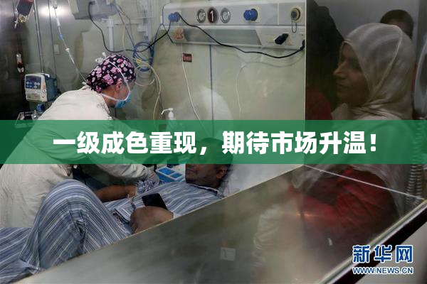 一级成色重现，期待市场升温！