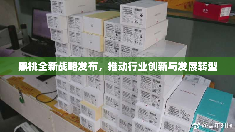 黑桃全新战略发布，推动行业创新与发展转型