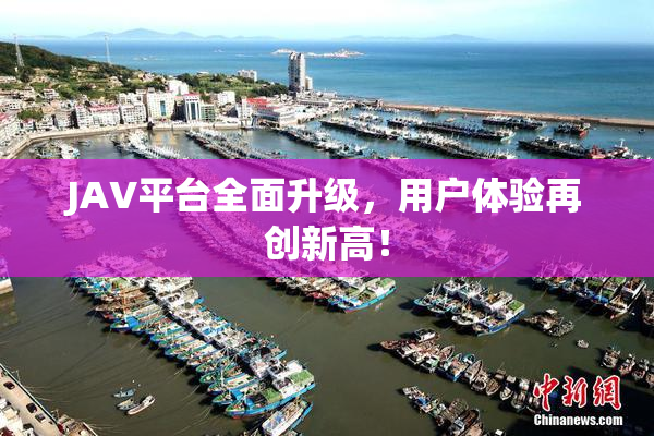 JAV平台全面升级，用户体验再创新高！