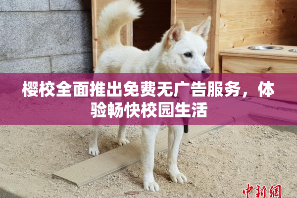 樱校全面推出免费无广告服务，体验畅快校园生活