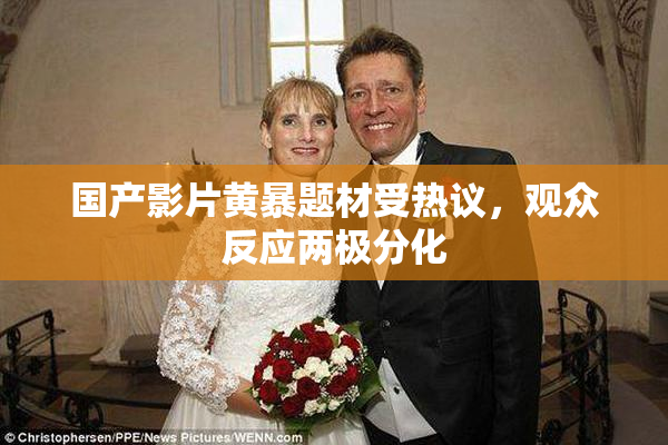 国产影片黄暴题材受热议，观众反应两极分化