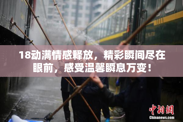 18动满情感释放，精彩瞬间尽在眼前，感受温馨瞬息万变！