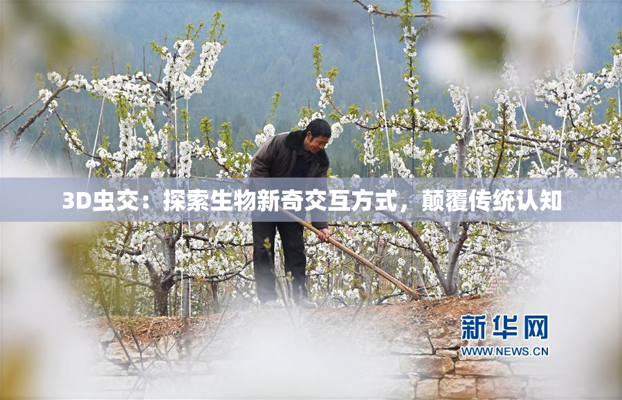 3D虫交：探索生物新奇交互方式，颠覆传统认知