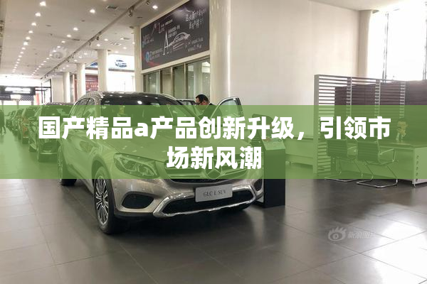 国产精品a产品创新升级，引领市场新风潮