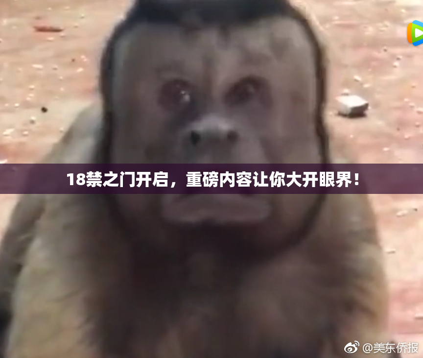 18禁之门开启，重磅内容让你大开眼界！