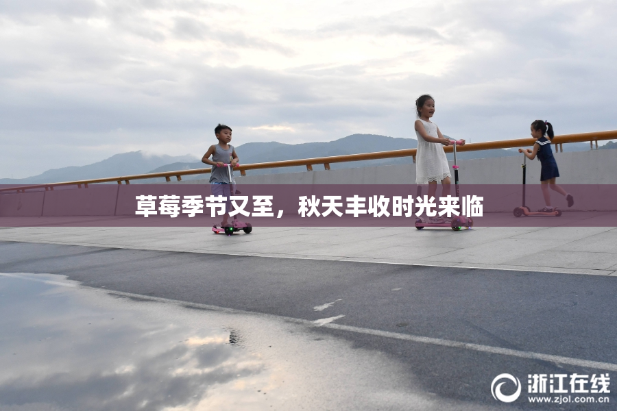草莓季节又至，秋天丰收时光来临