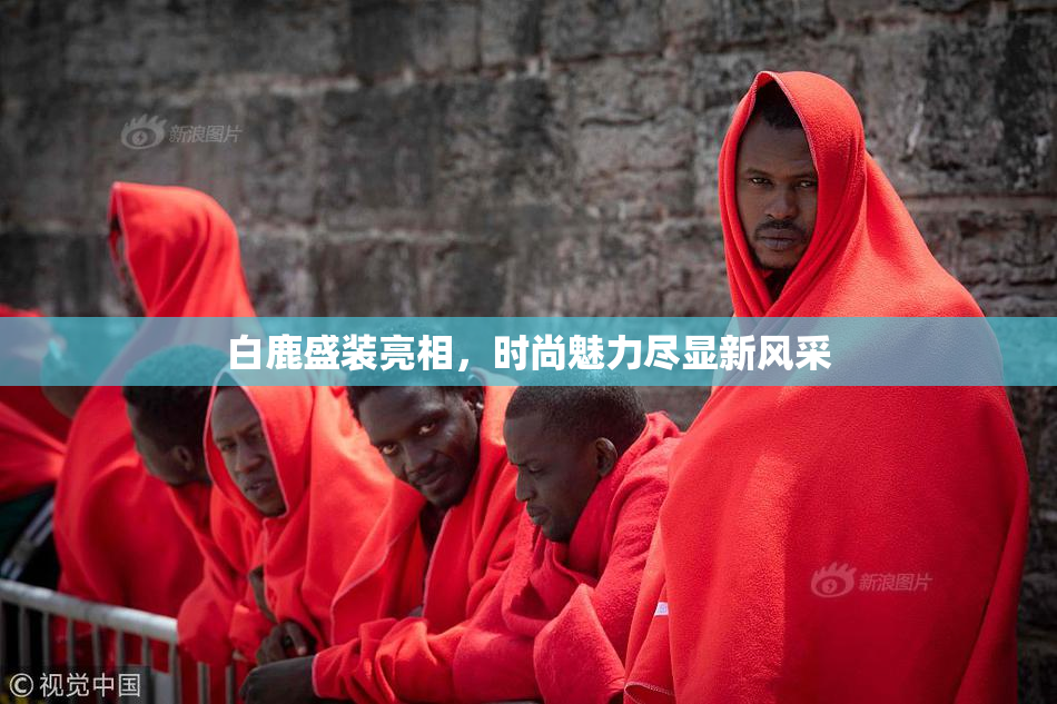 白鹿盛装亮相，时尚魅力尽显新风采