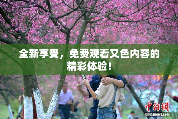 全新享受，免费观看又色内容的精彩体验！