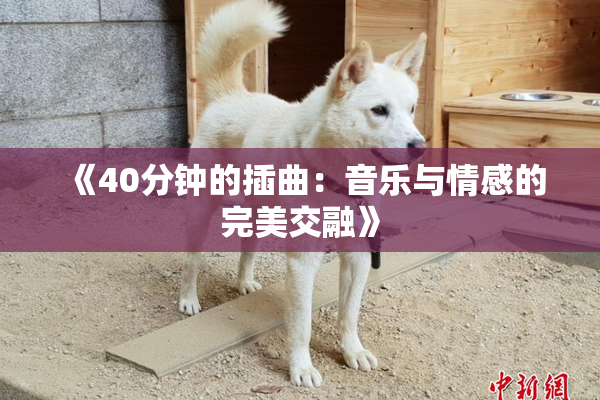 《40分钟的插曲：音乐与情感的完美交融》