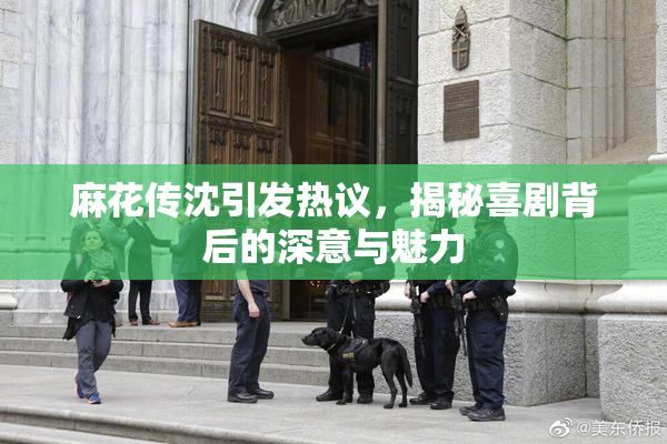 麻花传沈引发热议，揭秘喜剧背后的深意与魅力