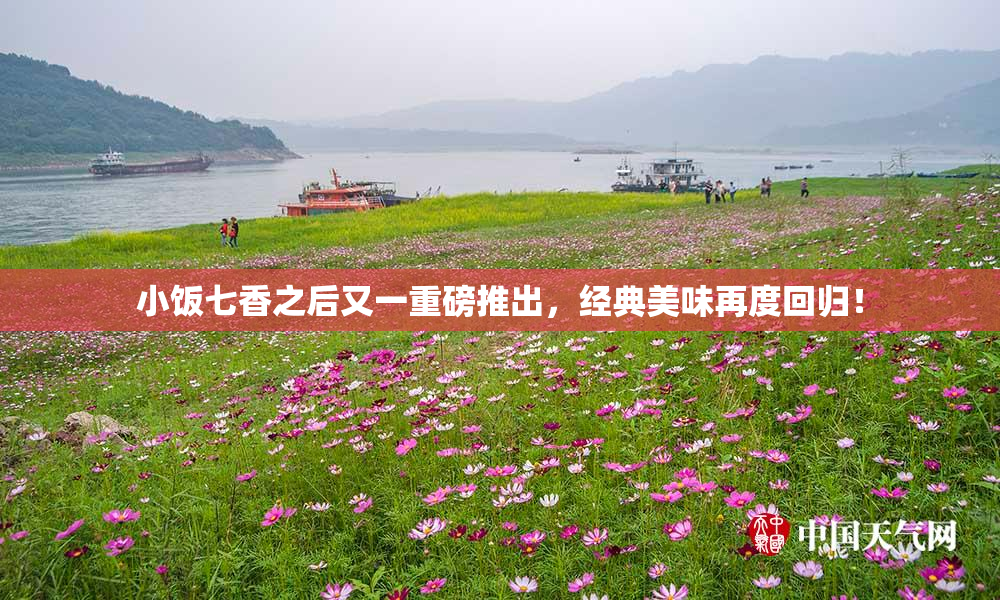 小饭七香之后又一重磅推出，经典美味再度回归！
