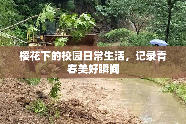 樱花下的校园日常生活，记录青春美好瞬间
