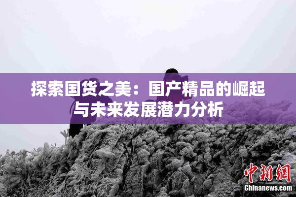 探索国货之美：国产精品的崛起与未来发展潜力分析