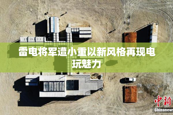 雷电将军遭小重以新风格再现电玩魅力