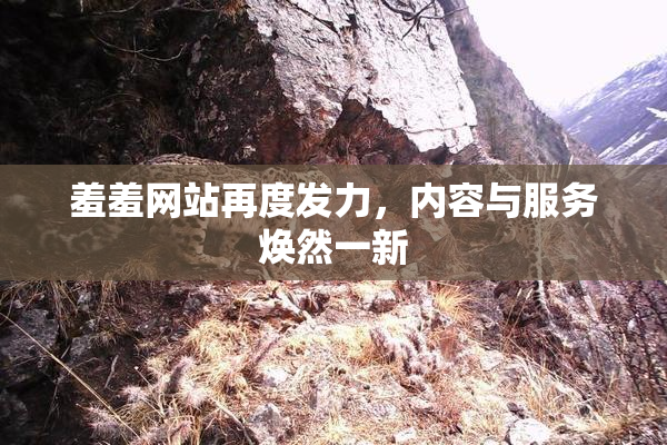 羞羞网站再度发力，内容与服务焕然一新
