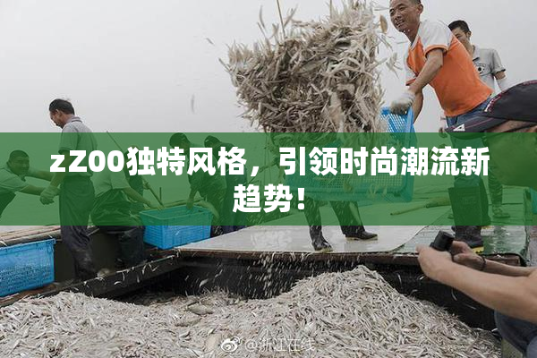 zZ00独特风格，引领时尚潮流新趋势！