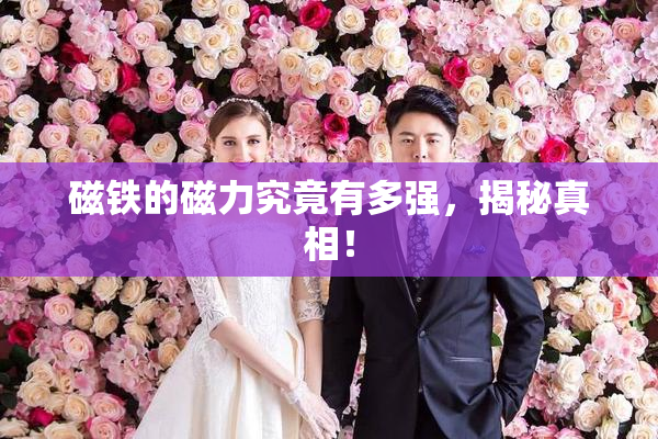 磁铁的磁力究竟有多强，揭秘真相！