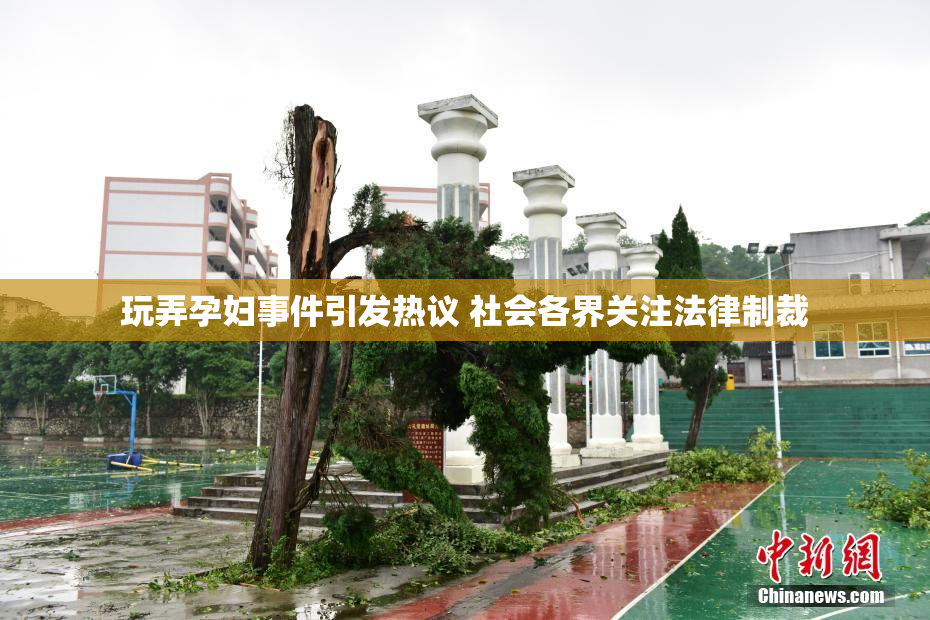 玩弄孕妇事件引发热议 社会各界关注法律制裁