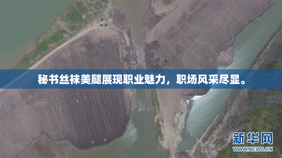 秘书丝袜美腿展现职业魅力，职场风采尽显。