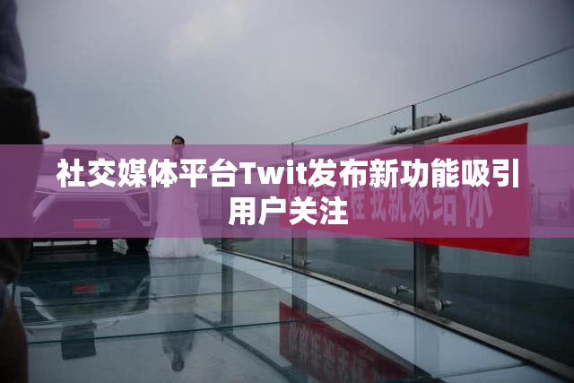 社交媒体平台Twit发布新功能吸引用户关注
