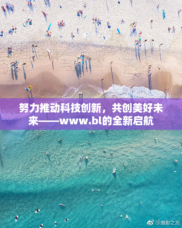 努力推动科技创新，共创美好未来——www.bl的全新启航
