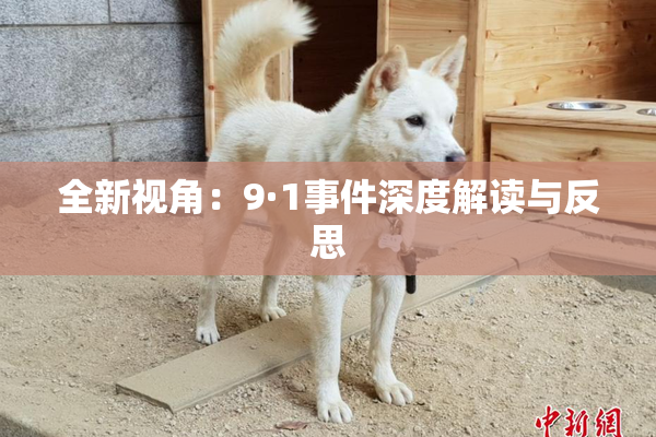 全新视角：9·1事件深度解读与反思