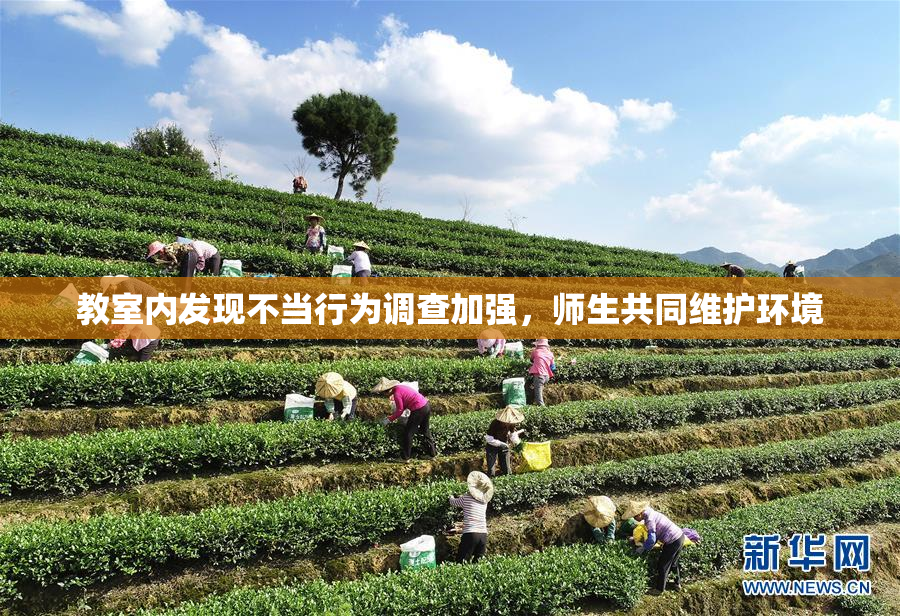 教室内发现不当行为调查加强，师生共同维护环境